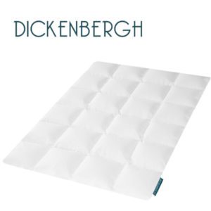 Dickenbergh-Mecklenburg-Winter